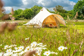 Poppy at Blancas Bell Tents